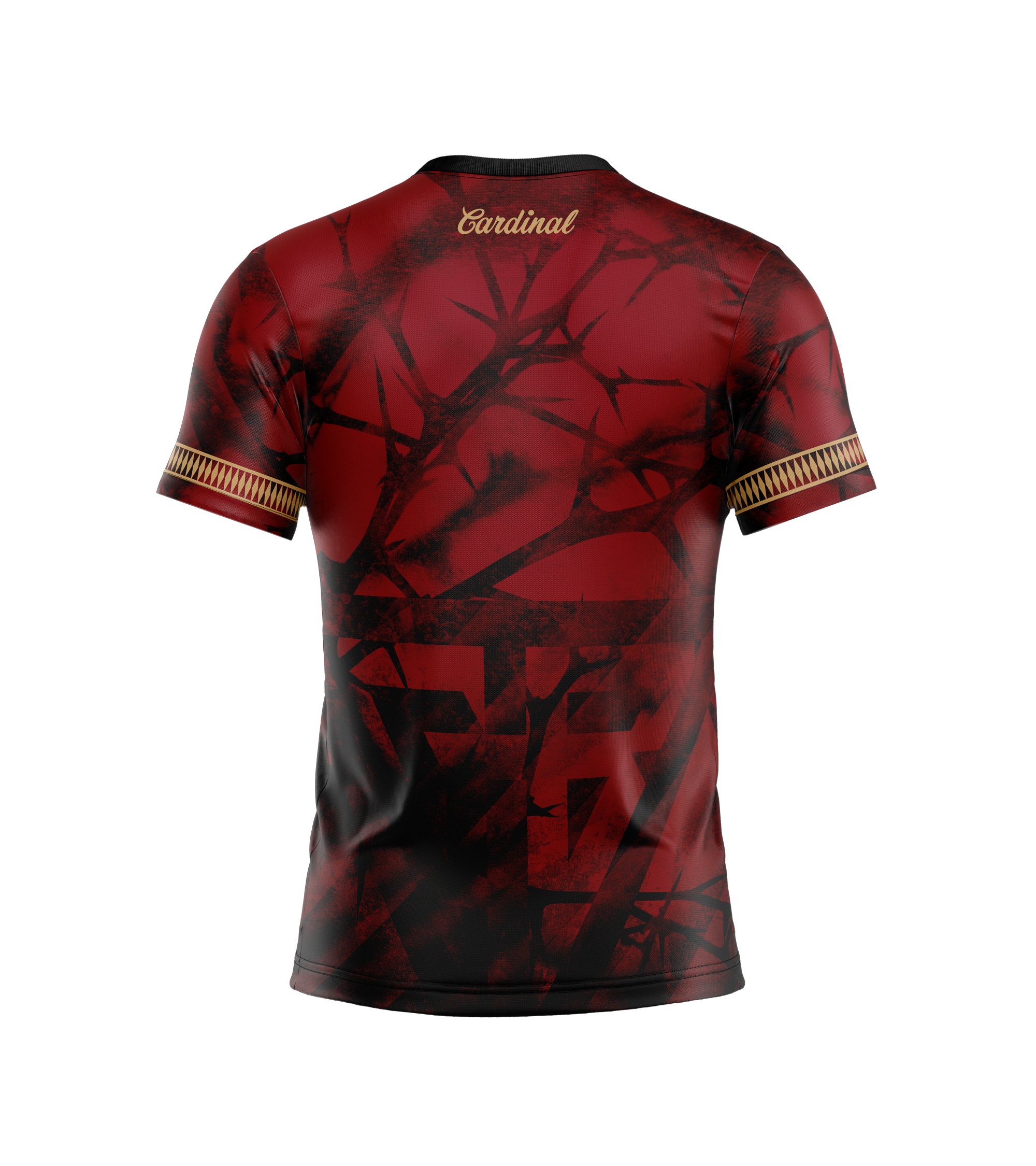 Gannon Buhr (Victory Series - Northwest Championship | Thorns)