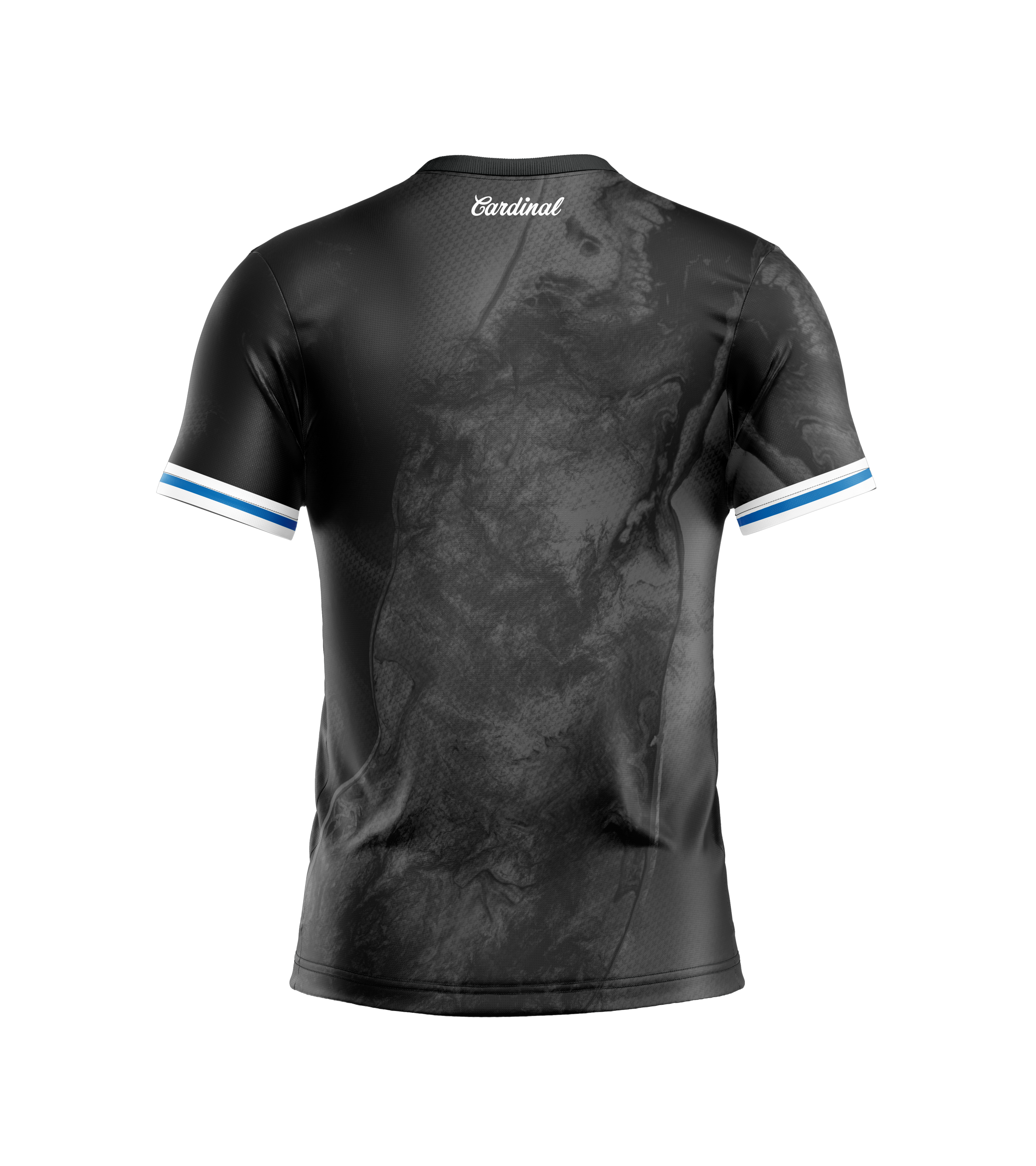 Niklas Anttila (Victory Series - PDGA Champions Cup)
