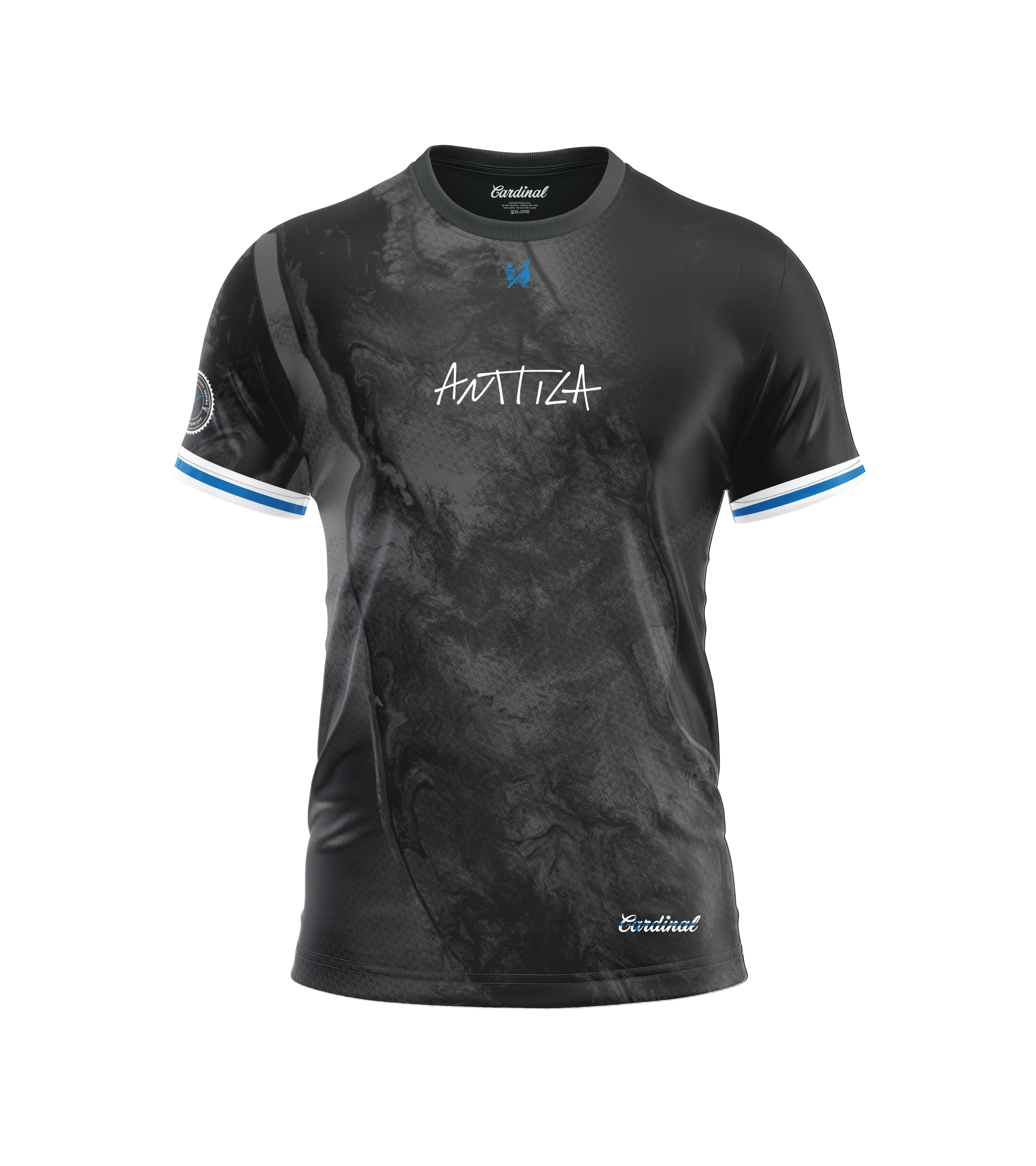 Niklas Anttila (Victory Series - PDGA Champions Cup)