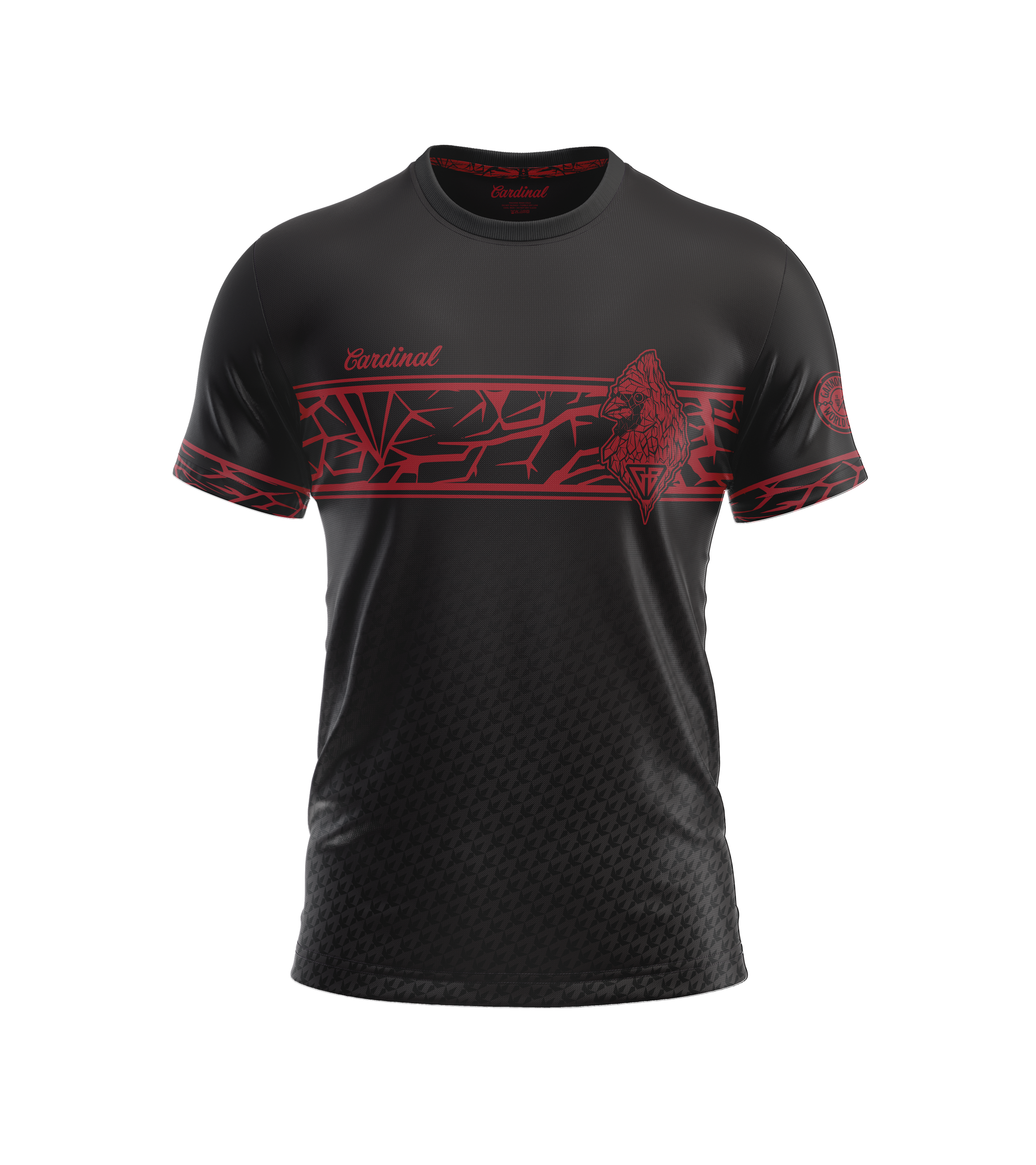 Gannon 2025 World Champ