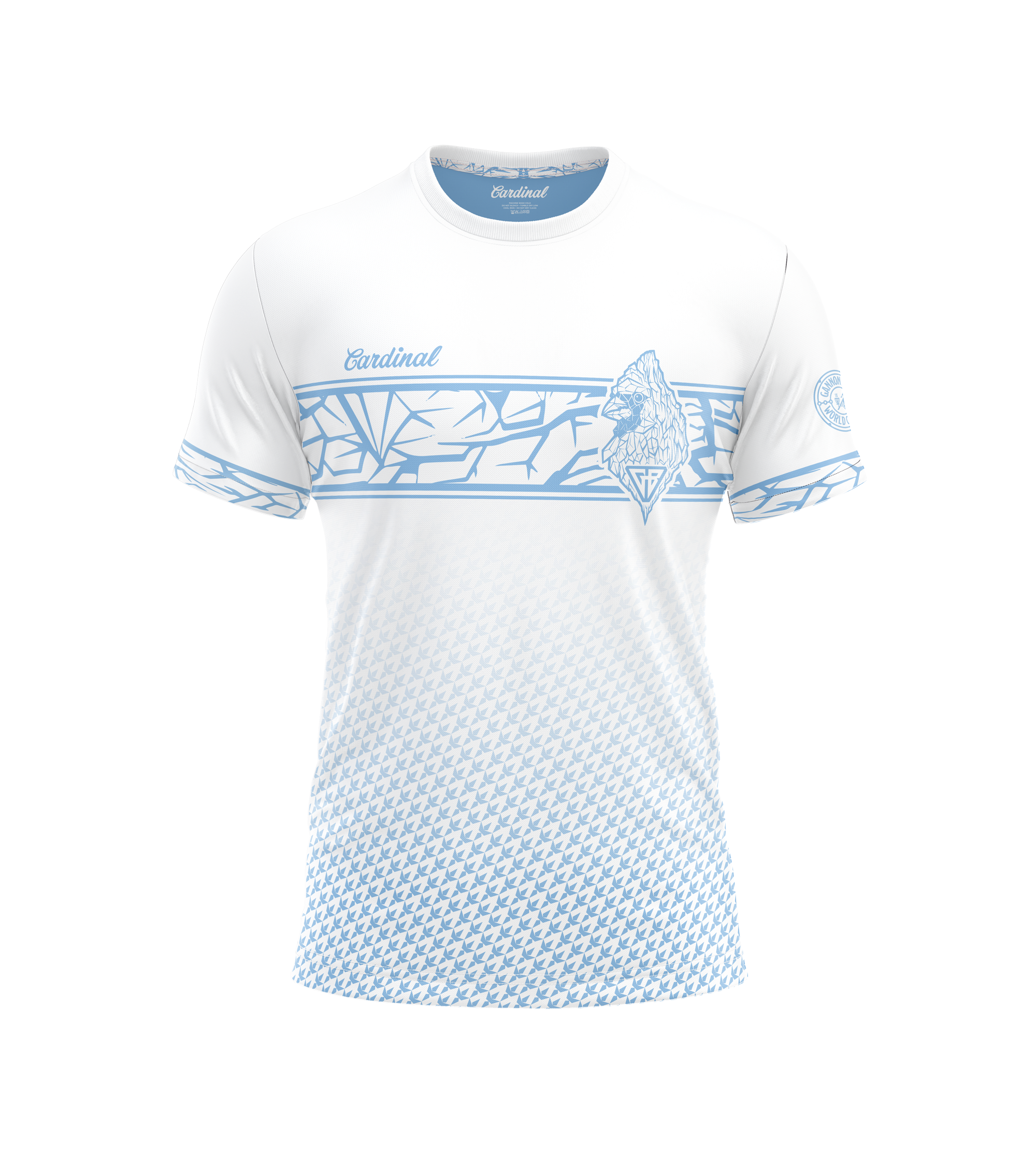 Gannon 2025 World Champ