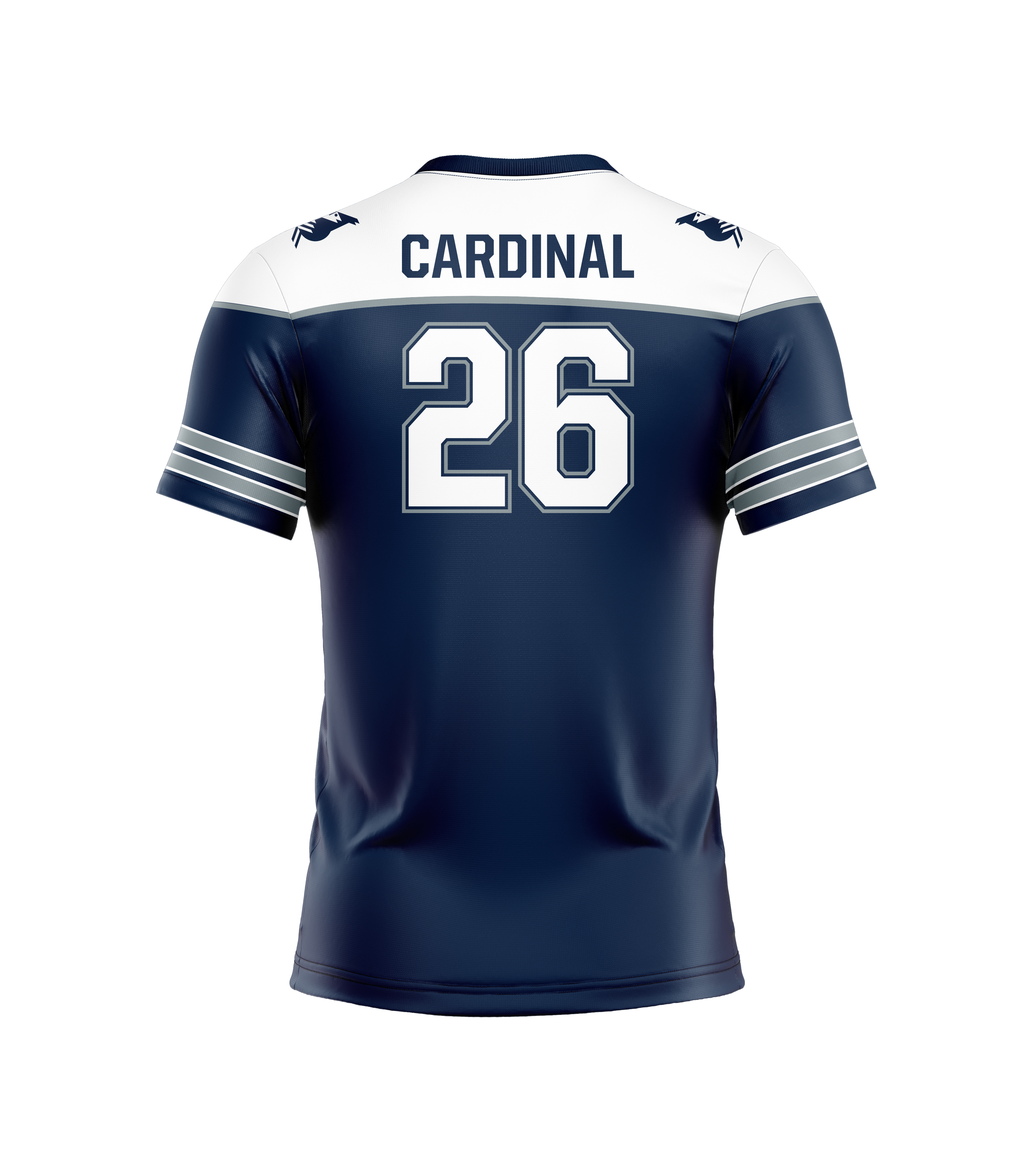 Disc South Expo - Exclusive (Limited edition and in stock)